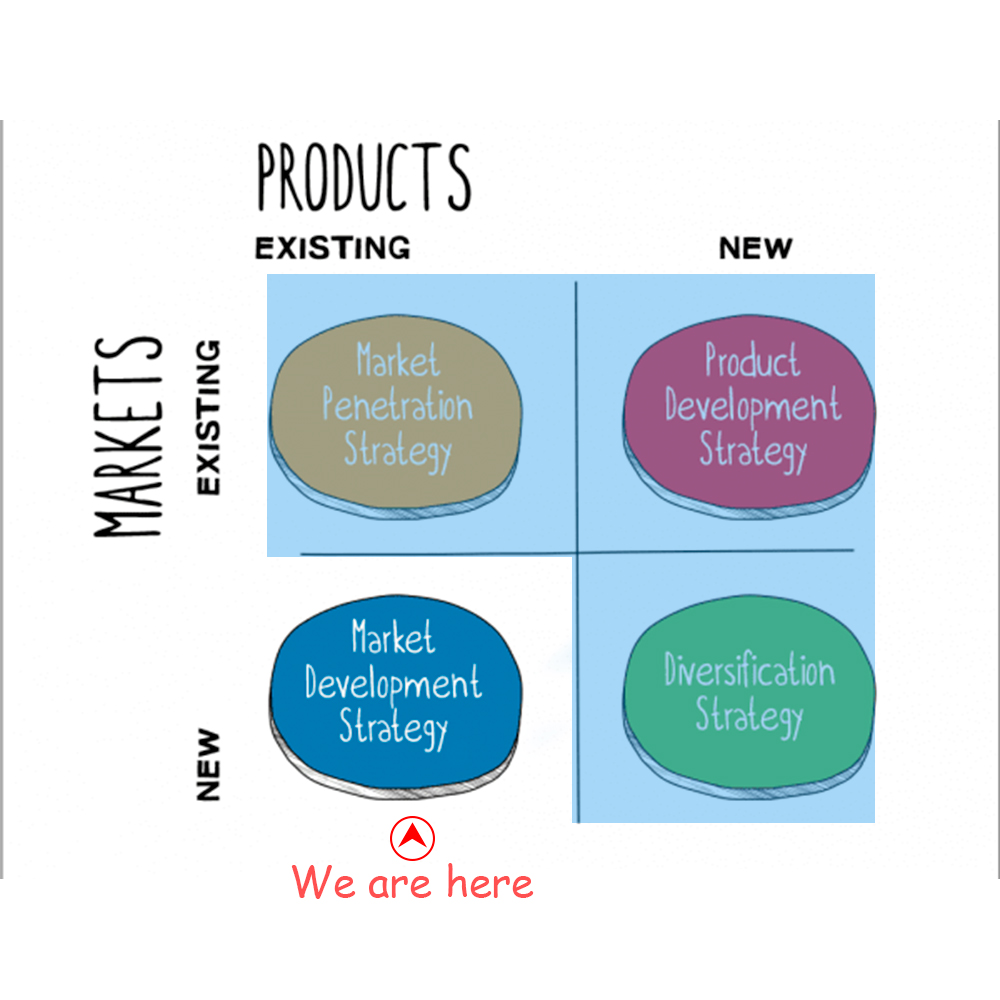 Product development stage