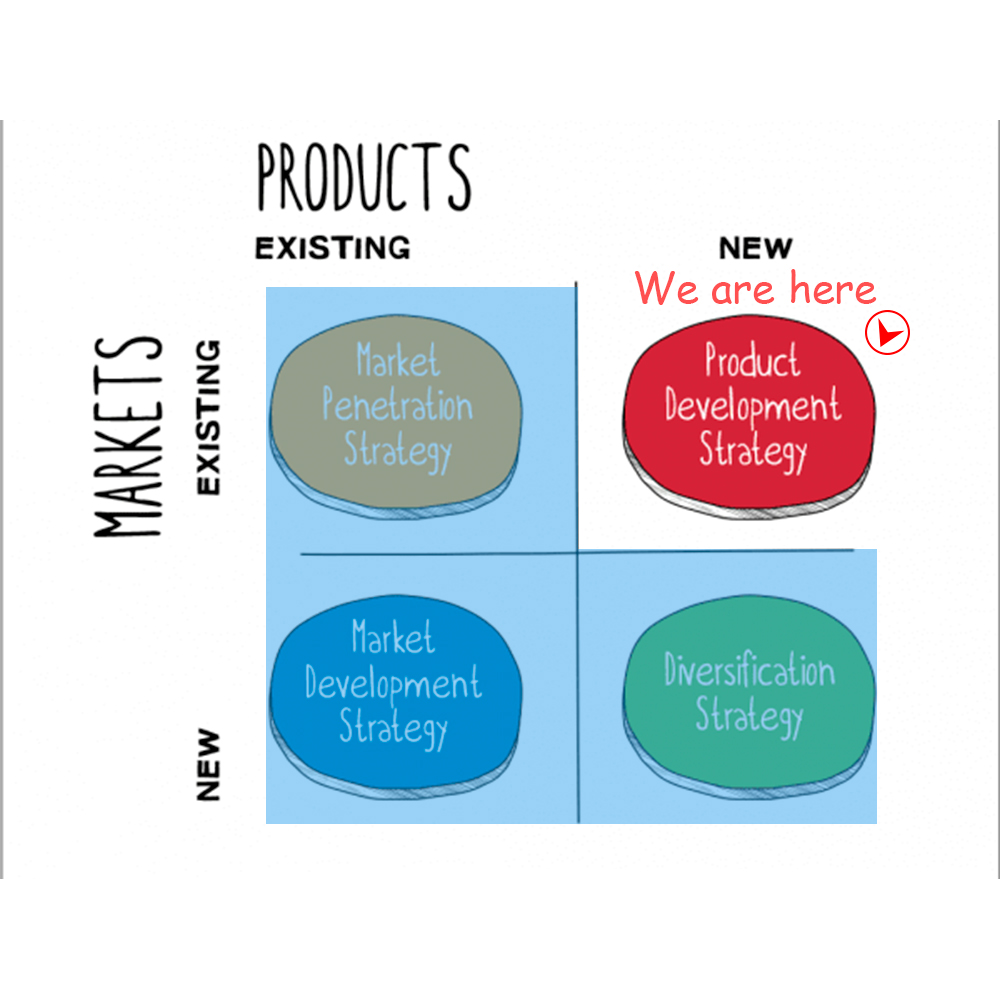 Product development strategy